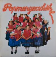 Z'Zi Labor ? Popmenyecskék. Vinyl, LP, Album, 1987, VG+