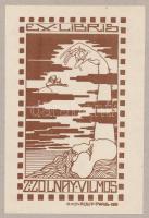 Kurtapataki Kovács Pál (1889-?): Z. Zolnay Vilmos könyve (szecessziós ex libris), 1913. Klisé, papír, jelzett a klisén, lap teteje kartonra kasírozva, 10,5x6 cm.