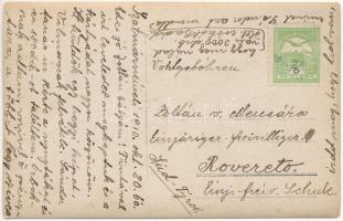 1910 Szatmárnémeti, Satu Mare; úri társaság szüreten / elite society in a vineyard, harvest. photo