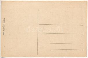 Sepsiszentgyörgy, Sfantu Gheorghe; Állami elemi iskola magyar címerrel. Benkő Mór kiadása / elementa...