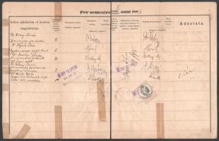 1884-1889 Egyetemi leckekönyv 8 lapja ismert emberek aláírásával, közte Láng Lajos miniszter, Ballagi Aladár MTA-tag, Kerkapoly Károly pénzügyminiszter, Szilágyi Dezső igazságügy-miniszter és mások aláírásával