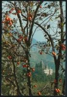 Kínai Népköztársaság 1980