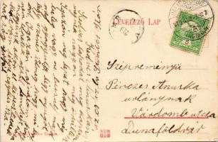 1910 Palicsfürdő, Palic, Palitsch; tórészlet a mólóval, csónak. Vig Zsigmond Sándor kiadása / lake, ...