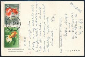 Kínai Népköztársaság 1952