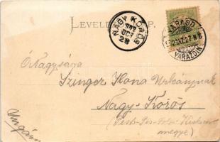 1902 Varasd, Warasdin, Varazdin; Optujska ulica / utca, Gustav Moses és fia, Franjo Jursa üzlete. C....