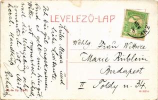 Petrozsény, Petrosani; látkép, szélmotor, Zsil vize a Szurduki-szorosban. W.L. Bp. 1694-7. / general...