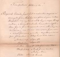 1878 Bp.-Óbuda, Mészáros Sámuel református lelkész levele a római katolikus plébánosnak Pingviczki M...