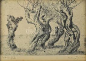 Kiss János (1905-1984): Görbe fák. Rézkarc, papír, jelzett. Üvegezett fakeretben, 10×16,5 cm