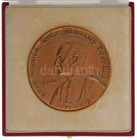 Lebó Ferenc (1960-) 1995. "Apor Vilmos, Győr vértanú püspöke 1945-1995 / A jó pásztor életét adja juhaiért" kétoldalas bronz emlékérem, eredeti dísztokban (91mm) T:AU