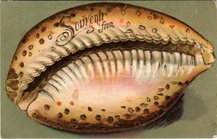 1911 Souvenir from...gilded shell art postcard. Emb. litho (EK)