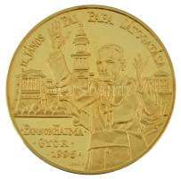 Lebó Ferenc (1960-) 1996. "II. János Pál pápa látogatása - Pannonhalma, Győr" aranyozott bronz emlékérem kapszulában (42,5mm) T:PP ujjlenyomat