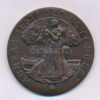 1930 k. "Munkás Testedző Egyesület / 1908" kétoldalas bronz díjérem, hátoldalán gravírozva és "Ludvig" gyártói jelzéssel. Szign.: Ripszám Henrik (1889-1976) (40mm) T:XF kis patina, ph.