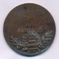 1930 k. "Munkás Testedző Egyesület / 1908" kétoldalas bronz díjérem, hátoldalán gravírozva...