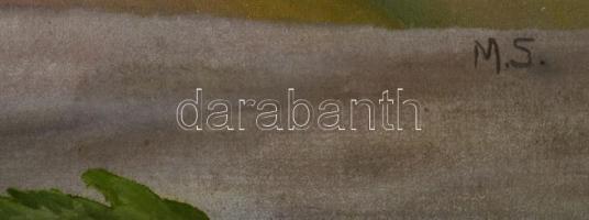 M.S. jelzéssel: Csendélet. Olaj, karton. Dekoratív, üvegezett, kissé sérült fakeretben. 61×45 cm