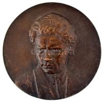 1970-1980 k. "A József Attila Gimnázium és Szakközépiskola 25. évfordulója" bronz plakett (98mm) T:XF