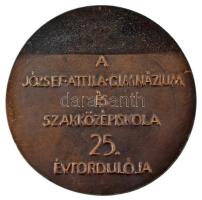 1970-1980 k. "A József Attila Gimnázium és Szakközépiskola 25. évfordulója" bronz plakett ...