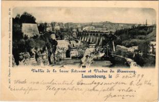 1899 (Vorläufer) Luxembourg, Luxemburg; Vallée de la basse Petrusse et Viaduc du Bisserweg / viaduct, train, general view