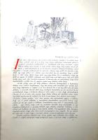 Mikes Kelemen: Zágoni Mikes Kelemen Törökországi levelei. A magyar királyi kormány támogatásával, II...