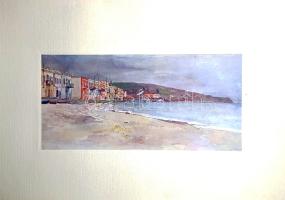 Mikes Kelemen: Zágoni Mikes Kelemen Törökországi levelei. A magyar királyi kormány támogatásával, II...