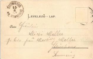 1899 Gödöllő, Országút. Pick testvérek kiadása (EK)