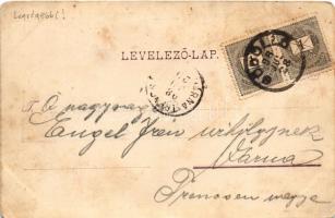 1898 Gödöllő, királyi kastély, pavillon a felső parkban, Máriabesnyő, pályaudvar, vasútállomás. Art ...