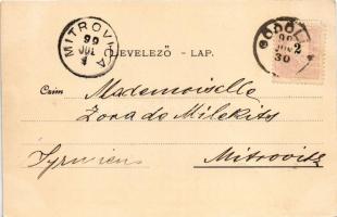 1899 Gödöllő, Pavillon a felső parkban. Pick Testvérek kiadása (gyűrődés / crease)