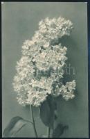 ~1915 Címezetlen képeslap "Budapesti álla(...) rendőrségi karhatalom 11. század." bélyegzé...