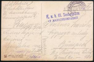 1917 Tábori posta képeslap "K.u.k. III. Seebataillon / 12. MARSCHKOMPAGNIE" + "MF / (POLA)"