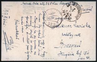 1917 Tábori posta képeslap "K. u. K. KRIEGSMARINE / S. M. S. WIEN" + "FP / 383"