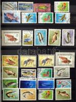 Halak motívum összeállítás, 570 db bélyeg 8 lapos A/4 Leuchtturm berakóban