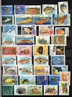 Halak motívum összeállítás, 570 db bélyeg 8 lapos A/4 Leuchtturm berakóban