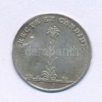 Habsburg Birodalom / Pozsony 1808. szeptember 7. "MARIA LVDOVICA AVG FRANCISCI AVST IMP HVNG BOH REGIS CORONATA HVNG REG POSONI VII SEPT MDCCCVIII RECTE ET CANDIDE" Mária Ludovika (II. Lipót neje) pozsonyi koronázása alkalmára kiadott Ag zseton (20.5mm/2.18g) T:VF, ütődés Habsburg Monarchy / Bratislava 1808. Maria Ludovika Ag coronation medal (20.5mm/2.18g) C:VF, punched