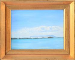 Jelzés nélkül: Balaton. Olaj, vászon, kartonon, dekoratív fakeretben, 20×25 cm