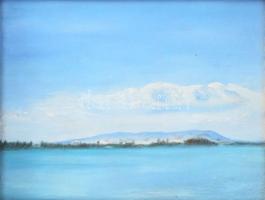 Jelzés nélkül: Balaton. Olaj, vászon, kartonon, dekoratív fakeretben, 20×25 cm