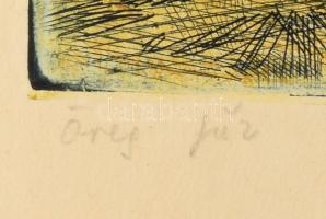 Lukovszky László (1922-1981): Öreg fűz (Miskolc). Színes rézkarc, papír, jelzett, kartonra kasírozva...