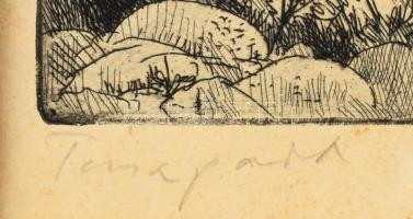 Gácsi Mihály (1926-1987): Tiszapart. Rézkarc, papír, jelzett, kissé foltos, apróü foltokkal, paszpar...