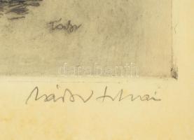 Zádor István (1882-1963): Párás nap. Rézkarc, papír, jelzett, kissé foltos, üvegezett keretben, 40×2...