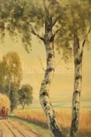 Jelzés nélkül, XX. sz. közepe: Lovasszekér szénával. Olaj, vászon. 60x80 cm. Fakeretben