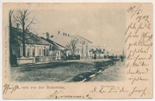 1903 Storozhynets, Storojinet, Storoschynez, Storozyniec, Storozynetz (Bukovina, Bucovina, Bukowina); Leon König No. 56. / street, shop (r)