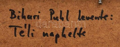 Bihari Puhl Levente (1957-): Téli naplemente (Balaton, Badacsony). Olaj, farost, jelzett, dekoratív ...