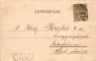 1905 Palicsfürdő, Palic, Palitsch; villamos. Szigeti Jenő kiadása / tram (EK)