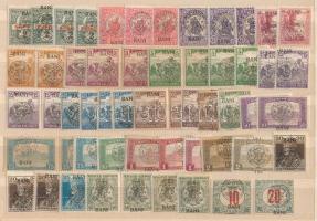 Kolozsvár 1919 55 db bélyeg eltolódott felülnyomásokkal és lemezhibákkal, Bodor vizsgálójellel