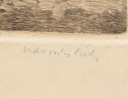 Vidovszky Béla (1883-1973): Dömösi táj (Dunakanyar). Színezett rézkarc, papír, jelzett, apró törésny...