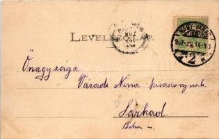 1902 Nagyvárad, Oradea; M. kir. honvéd hadapródiskola. Helyfi László kiadása / Kön. ung. Landwehr-Ca...