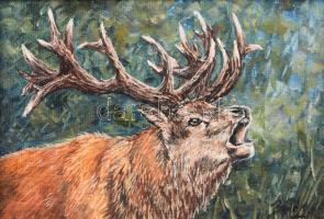 Bodák Anita (-): Szarvasbőgés (vadászat témájú festmény). Olaj, farost. Jelzett. Fakeretben. 10×15 c...