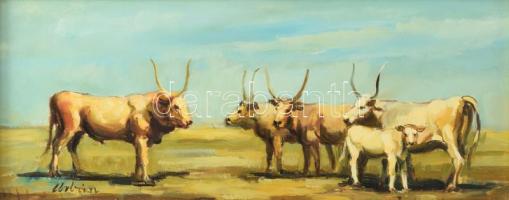 Urbán Gábor (1946-): Gulya. Olaj, farost, jelzett, dekoratív fakeretben, 15x35 cm