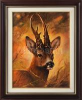 Antal László (1962-): Őz fej (vadászat témájú festmény). Olaj, farost, jelzett. Dekoratív fakeretben. 40×30 cm.