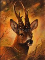 Antal László (1962-): Őz fej (vadászat témájú festmény). Olaj, farost, jelzett. Dekoratív fakeretben...