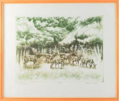 Kórusz József (1927-2010): Dámvadak. Rézkarc, papír, jelzett. Számozott: 63/100. 29,5x39,5 cm. Üvegezett fakeretben.