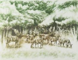 Kórusz József (1927-2010): Dámvadak. Rézkarc, papír, jelzett. Számozott: 63/100. 29,5x39,5 cm. Üvege...